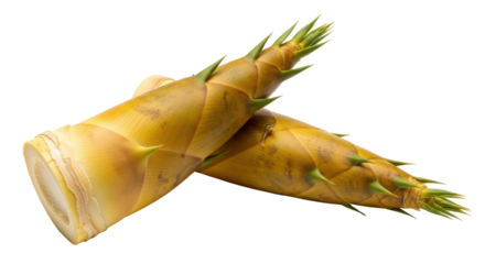 Isolated Bamboo Shoots