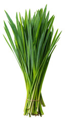 Obraz premium Fresh green chives bunch isolated on transparent background for easy design