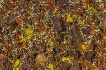 Rugged rocks with orange and yellow lichen in outdoor terrain
