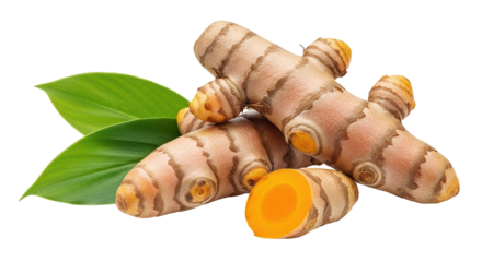 Isolated Fresh Turmeric Roots with Leaves
