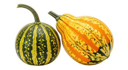Isolated Decorative Gourds