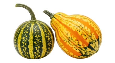 Isolated Decorative Gourds