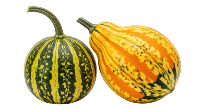 Isolated Decorative Gourds