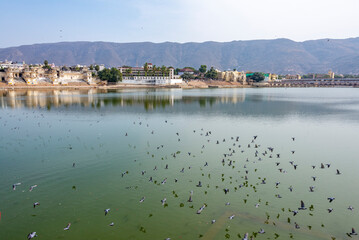 Scenic View of Pushkar Lake with Reflections and Pigeons in Flight