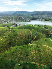 Vertical Aerial View of Nuwara Eliya Tea Fields and Gregory Lake in Sri Lanka