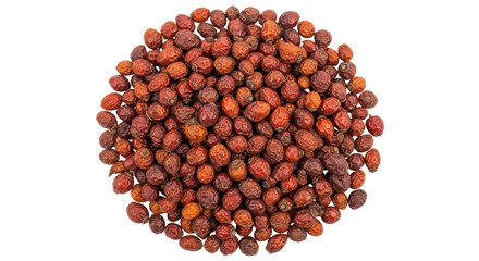 Isolated Rose Hips Bunch