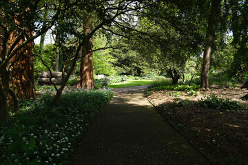 Pathway in the garden with green trees and bushes in the background