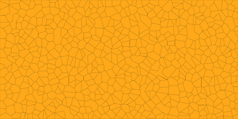 Modern Texture Formed from Ground Fracture

