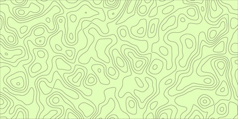 A Network of Soft Boundaries Within a Shapeless Field

