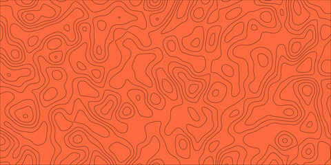 A Visual Translation of Stillness Into Line and Pattern

