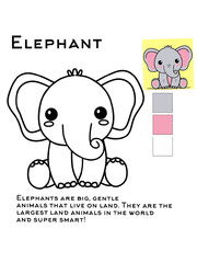Elephant for kids paint. 
