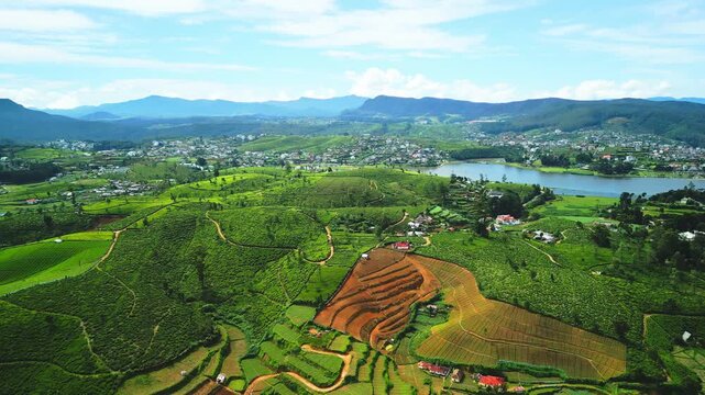 Cinematic Drone View Over Nuwara Eliya s Tea Terraces and Mountain Lake