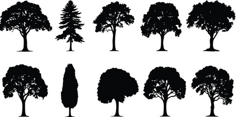 Black silhouette collection of different tree types with diverse shapes, perfect for natural scenery, forest backgrounds, and landscape art.