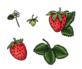 Horizontal border with ripe strawberries, green leaves, and flowers on a white background. Fresh summer frame for cards, invitations, or packaging.