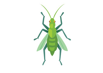 Grasshopper Vector, Grasshopper Icon Illustration