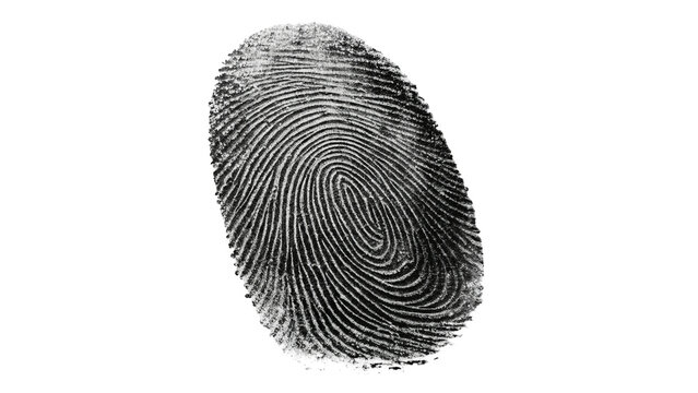 detailed fingerprint black isolated on transparent background	
