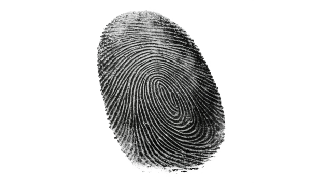 detailed fingerprint black isolated on transparent background	