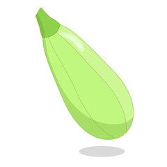 Isolated fresh courgette on white background. Vegetable vector illustration for children's entertainment, activity book, menu.