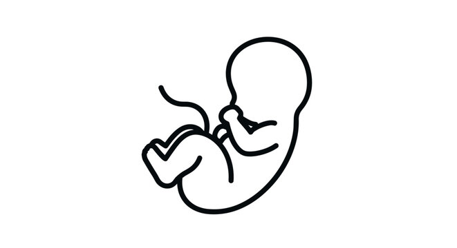 Minimalist outline of human fetus in simple line art style