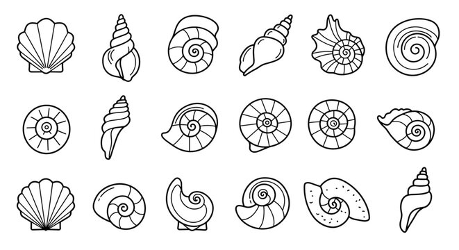 Black and white seashell designs set in outline style
