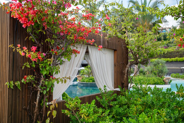 Loungers with white curtains and pool view 