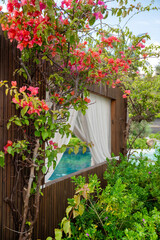 Loungers with white curtains and pool view 