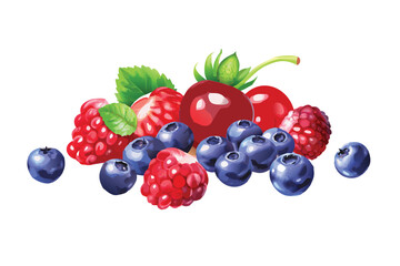 Photorealistic Mixed Berries Vector Set. Realistic Strawberry, Blueberry, and Raspberry with Gradient Mesh Shading
