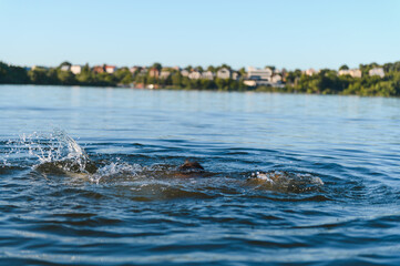 Man drowning in a lake near the city, desperate struggle for survival