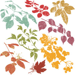 Autumn Leave Silhouettes with Leaf Vein and Splashes