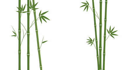 Green bamboo stalks on white background: elegant nature illustration