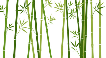 Green bamboo forest on white background: simple vertical stalks with leaves