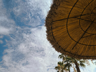 Caribbean parasol with blue sky and palm trees in the background