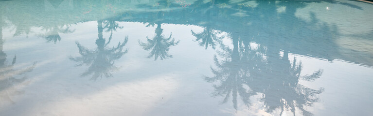 Palm Trees Shadow in a blue water 