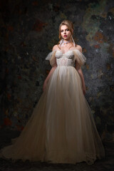 Young pretty blonde with exquisite makeup and hairstyle in a beautiful wedding dress posing against...