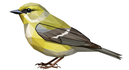 Isolated Low Poly Bird