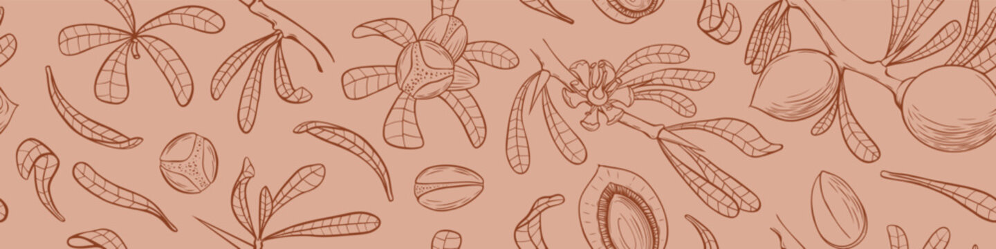 Seamless pattern with argan tree parts. Leaves, nuts and branches. Cosmetic floral background. Vector illustration.