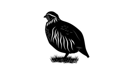 Udzungwa Partridge bird, black isolated silhouette