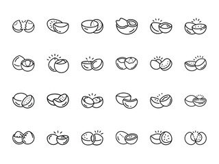 Hand-Drawn Coconut Icons Collection - Black and White Line Art Tropical Fruit Illustrations for Food Packaging, Restaurant Menus, Health Product Branding, and Exotic Design Projects