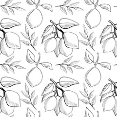 This design features a repeating pattern of hand-drawn lemons and leaves on a crisp white background, embodying a fresh and lively vibe ideal for various projects.
