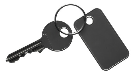 Isolated Cartoon Key with Keyring