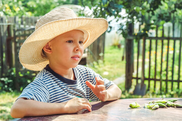Small boy in a straw hat focuses on shelling beans while sitting at a table outside, surrounded by greenery