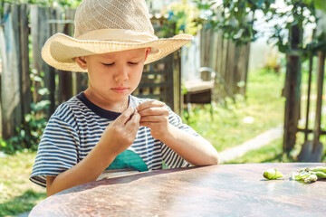 Small boy in a straw hat focuses on shelling beans while sitting at a table outside, surrounded by greenery