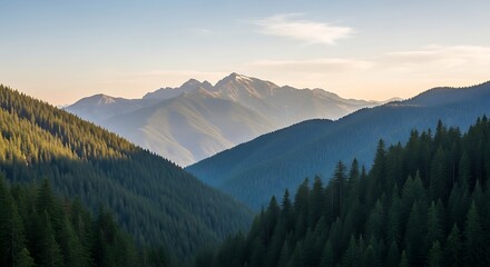 Obraz premium Layered Mountain Ridges with Evergreen Forest and Hazy Sunlight