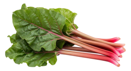Vibrant rhubarb stalks and lush green leaves provide a fresh ingredient for culinary creations on a transparent background.
