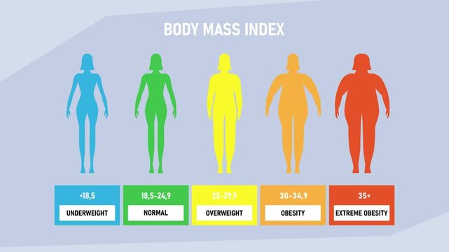 Body Mass Index (BMI) Chart with Female Silhouettes and Color-Coded Categories cartoon animation