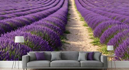 Vibrant Lavender Fields with Pathway Under Bright Sunlight in a Serene Landscape