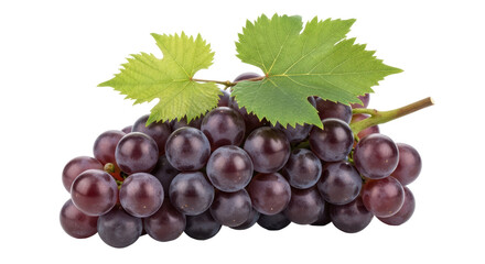 Fototapeta premium Isolated Bunch of Grapes
