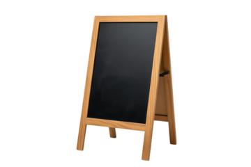 Graceful Jellyfish A Striking Marine Life Specimen in Vibrant Orange and White