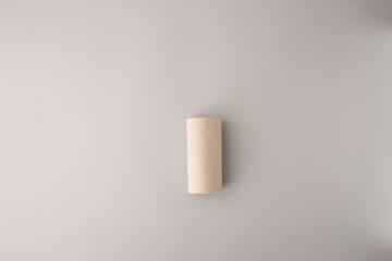 single cardboard tube inner roll from a toilet paper on a smooth, light-colored surface. cylindrical, light brown, and made of thin cardboard, for repurposing, crafts, step in creative project