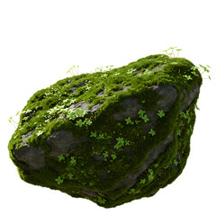 Dark green leafy cabbage head with textured outer leaves